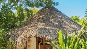 Une hutte au toit de chaume, dotée d’une porte et d’une fen être en bois, entourée d’une végétation luxuriante.