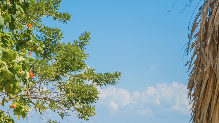 Isla del Pirata - Oficina de Reserva