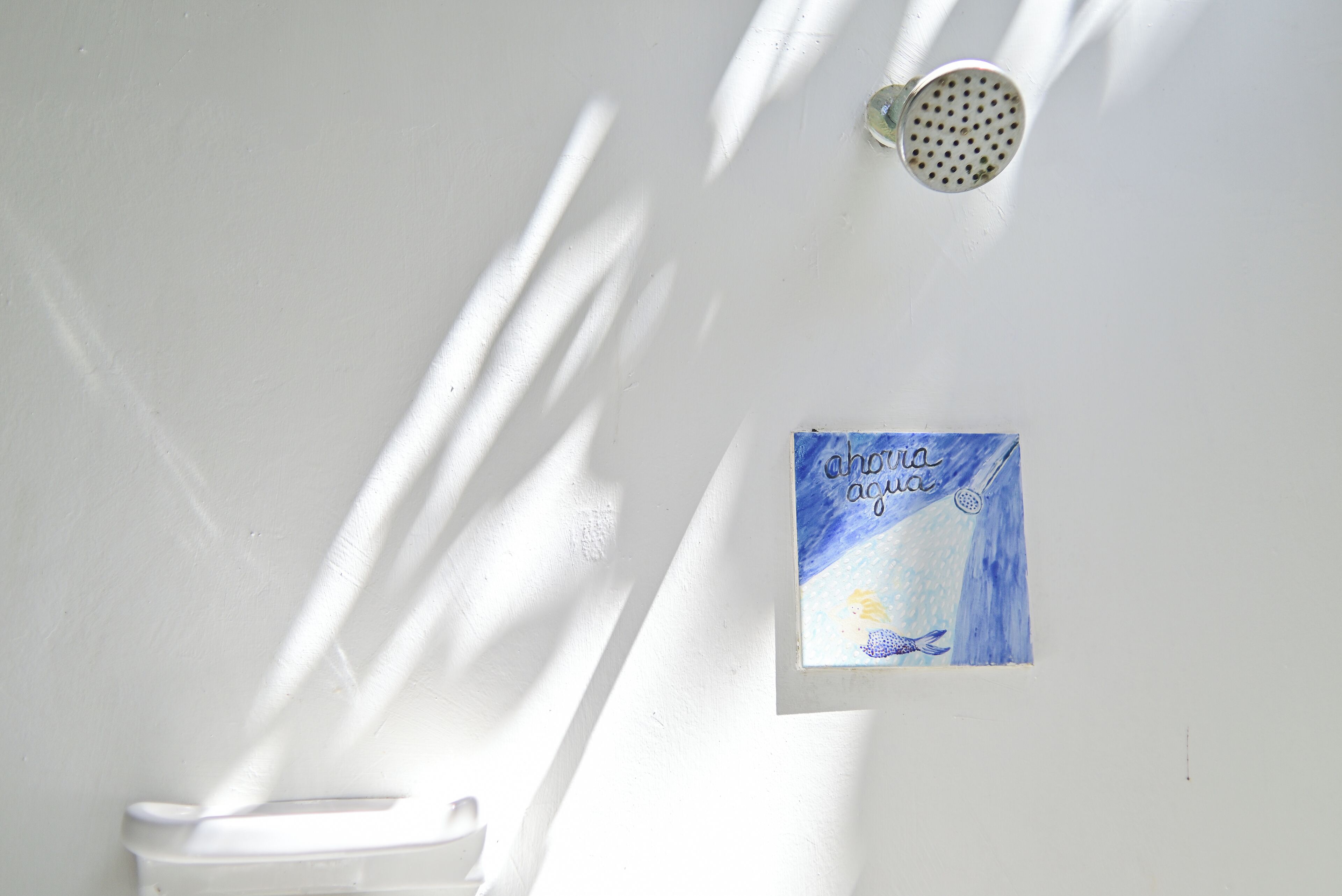 Une salle de bain avec un mur blanc, une pomme de douche et une œuvre d’art encadrée.