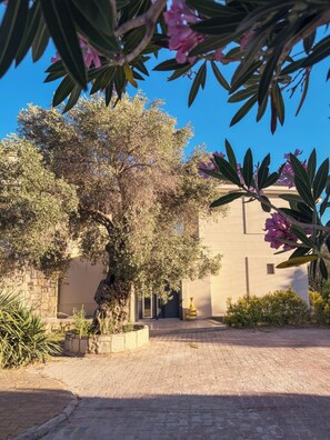 Terrein van de accommodatie