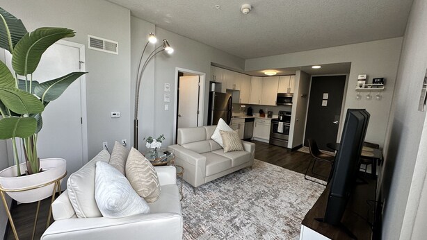A modern living room with a sofa, a coffee table, and a large plant. There is a kitchen in the background with cabinets and appliances. - Boho Loft / Skyline View / Walk to Arena Events (Des Moines)