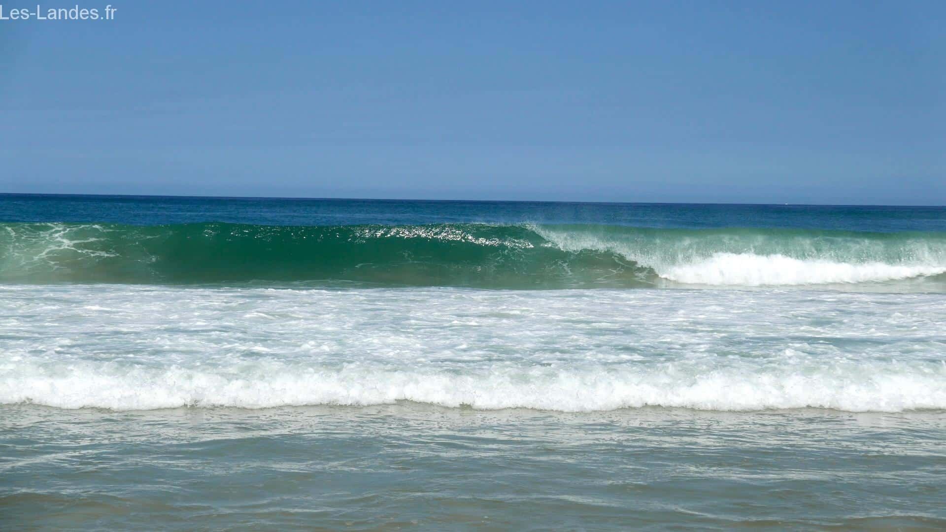 A beach with waves and clear skies.