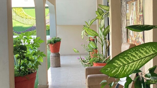 A corridor with tiled flooring, potted plants, a white chair, and a ceiling light fixture. - Mansión Serrano  (El Fuerte)
