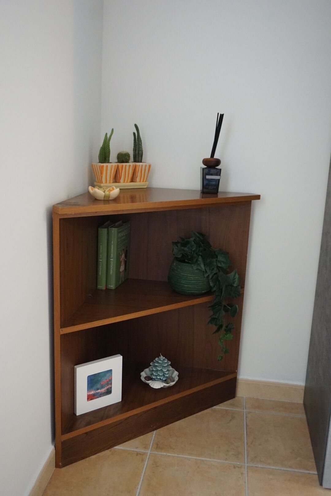 A corner bookshelf with books, a framed picture, and decorative plants.