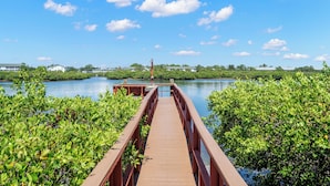 Un puente de madera que lleva a un muelle sobre aguas tranquilas, rodeado de abundante vegetación.