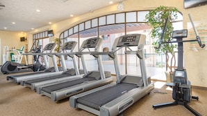 Une rangée de tapis de course dans une salle de sport, avec une grande fenêtre et une plante.