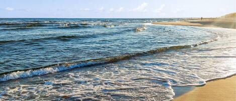 Beach nearby, fishing