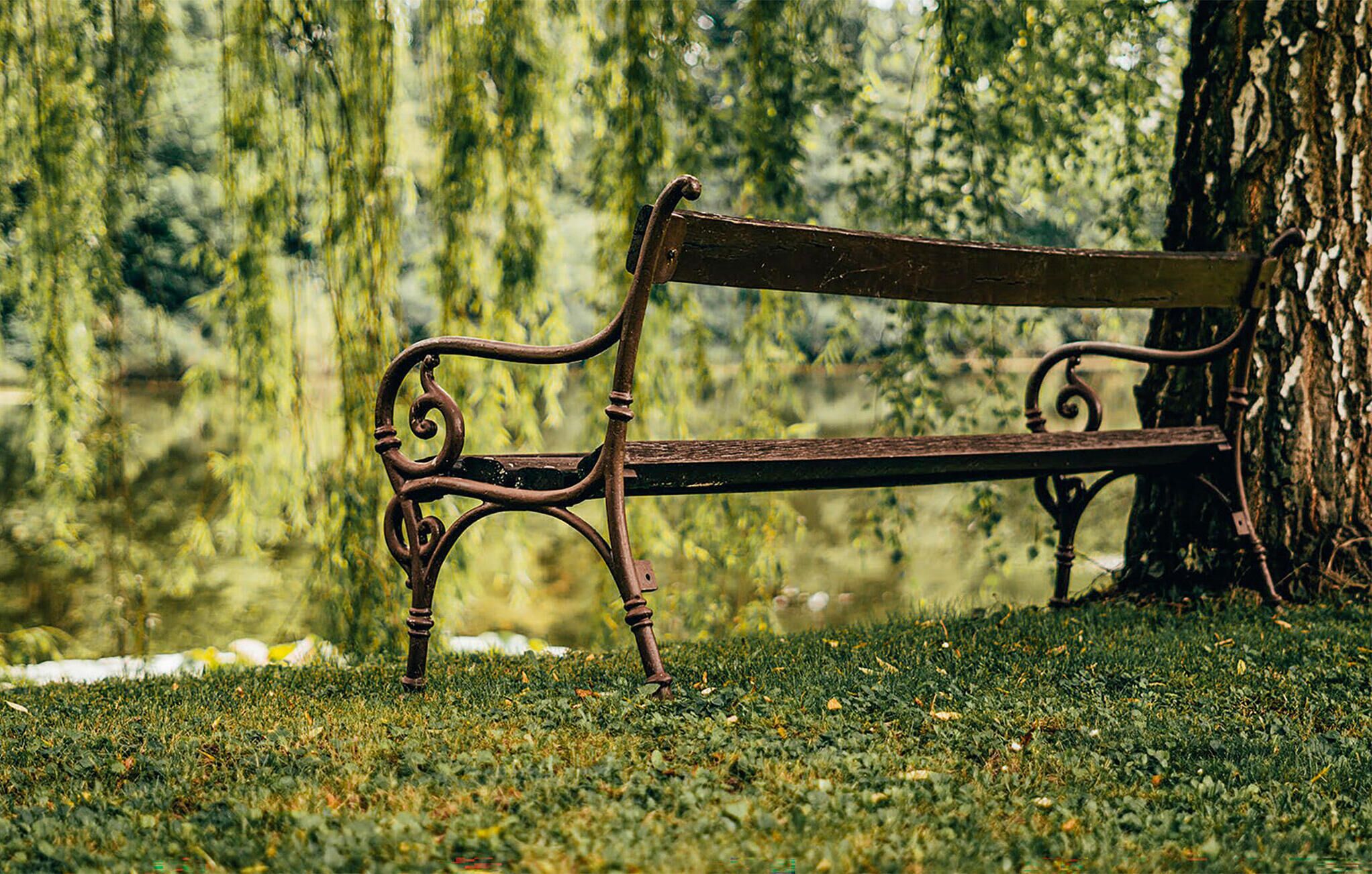 A park bench with intricate metalwork, positioned on grass near a tree.