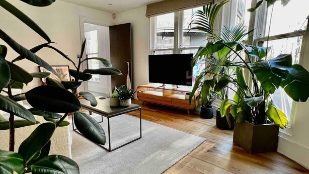 A modern living room with a wooden floor, a flat-screen TV, and several large potted plants.