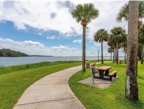 A park with a concrete path, benches, and palm trees. - Venetian Gardens Home in Peaceful Neighborhood (Leesburg)
