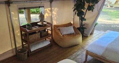 The Fox Den