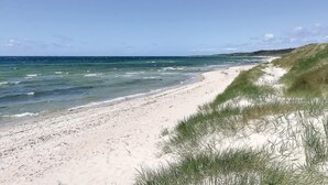 Een strand met een zandstrand en duinen.