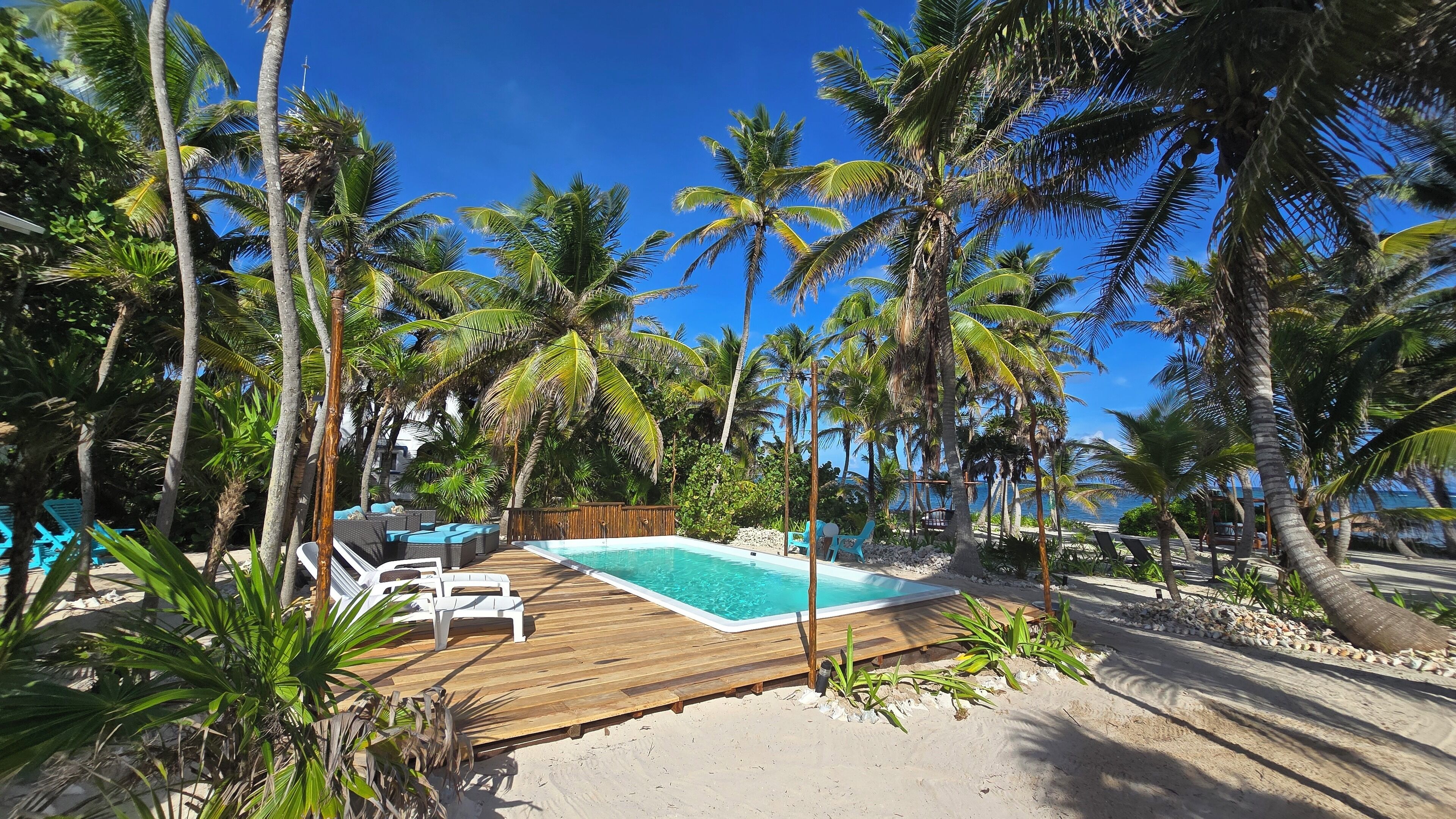 Outdoor pool, sun loungers