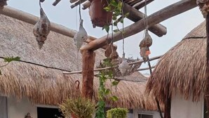 Exterior - Aldea Ommi (Progreso)