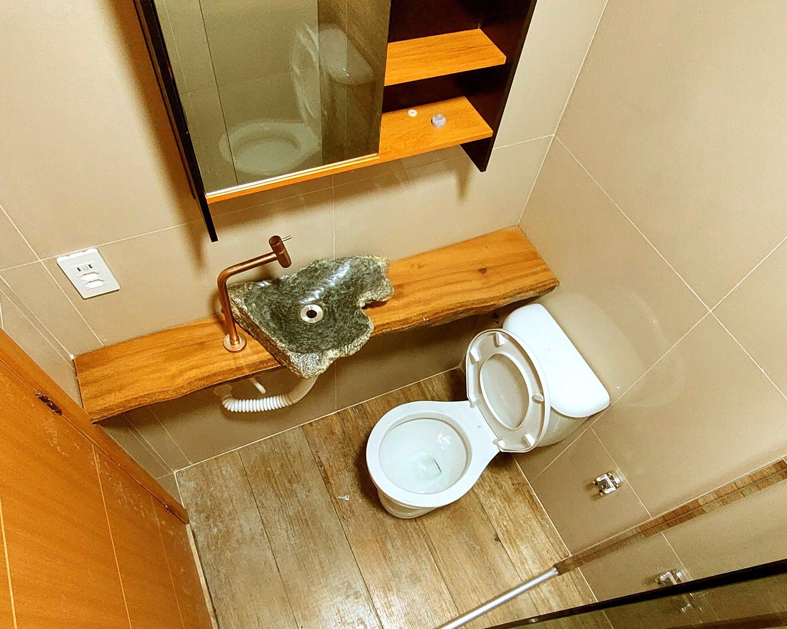 Ein Badezimmer mit einem Holzkosmetikschrank, einem waschbecken in Fischform und einer Toilette.