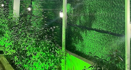 PARADİSE APART OTEL