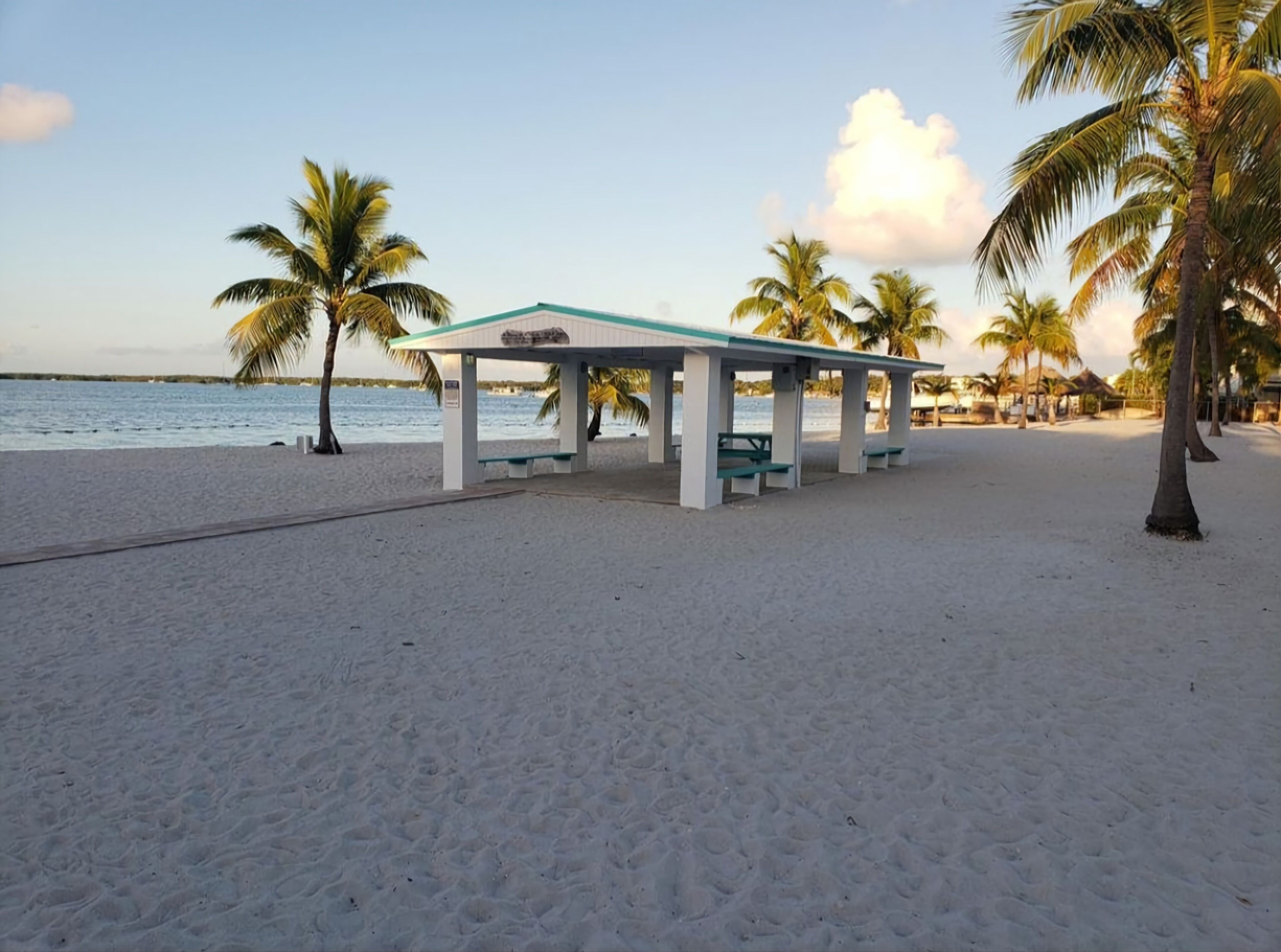 A beach with a covered pavilion, palm trees, and a view of the ocean.