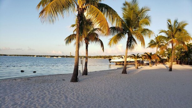 A sandy beach with palm trees and boats in the background. - Island Paradise with private beach & private bay sunset views. (Key Largo)