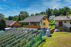 Exterior - Vineyard Cottage Stepan, Črnomelj, Slovenia (Črnomelj)