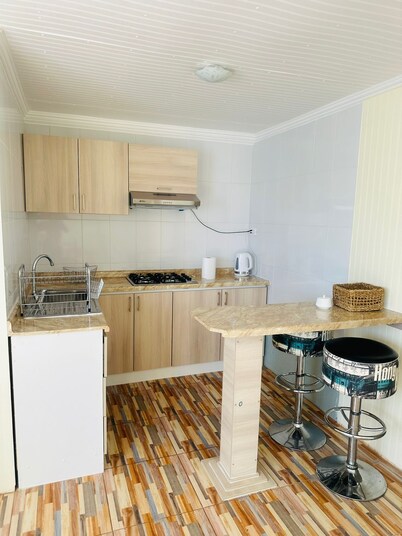 Arriendo Departamento Amoblado