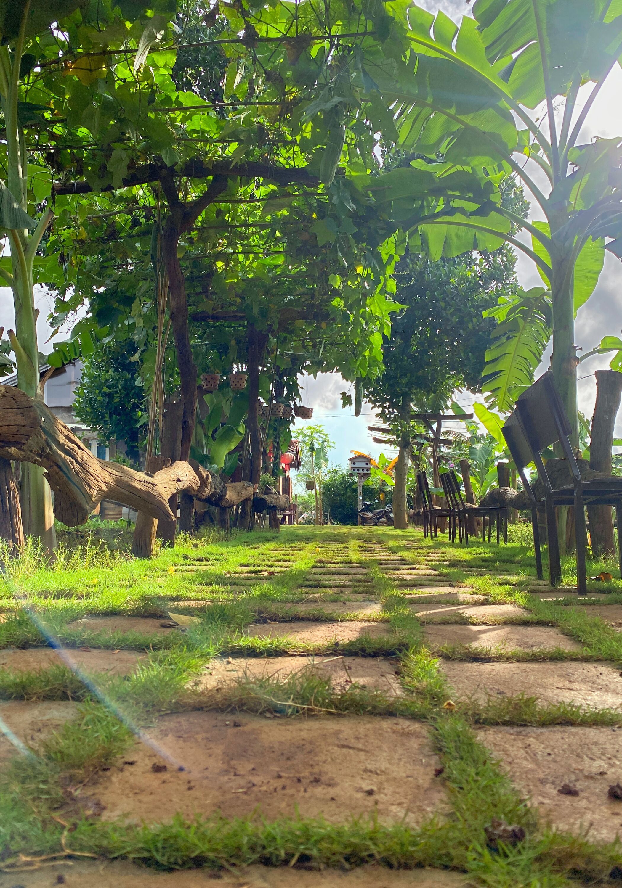 Jardines del alojamiento