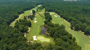 Oversigtsbillede af en golfbane omgivet af tæt skov.