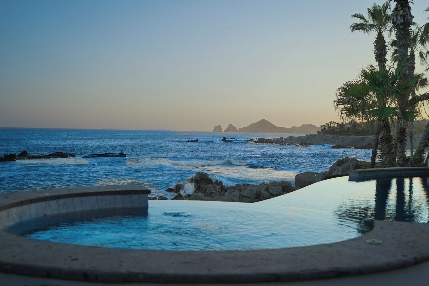 A pool with a view of the ocean and palm trees.