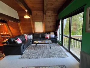 Smart TV, fireplace, video games, DVD player