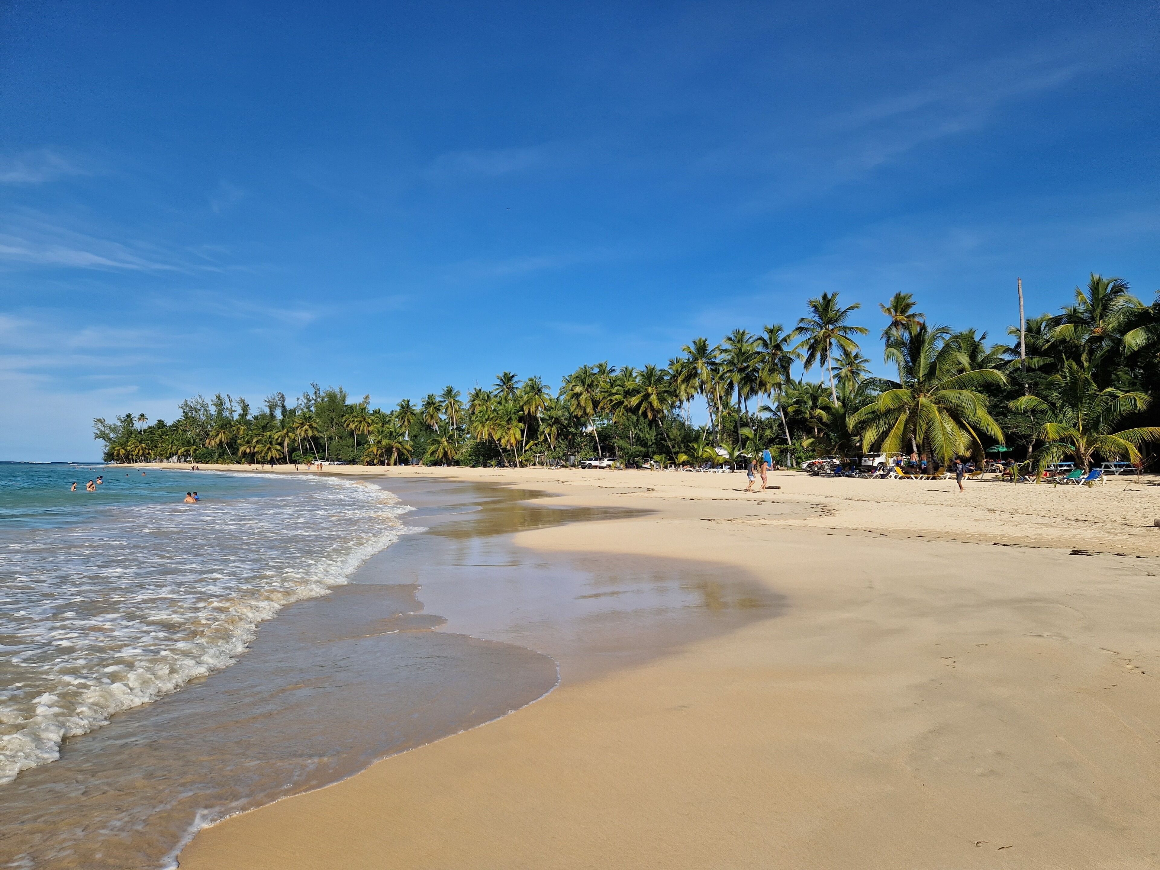 A beach with clear skies, palm trees, and a sandy shore.