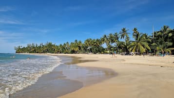 A beach with clear skies, palm trees, and a sandy shore.