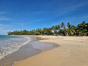 A beach with clear skies, palm trees, and a sandy shore.