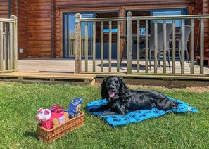 A dog lying on a blanket in front of a wooden building with a deck. - 2 bedroom accommodation in Withernsea (Withernsea)