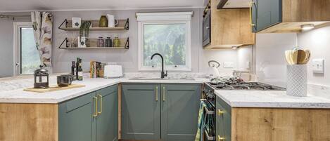 Fridge, oven, stovetop, toaster
