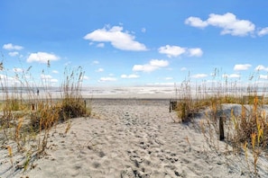 Ein sandiger Strand mit vereinzelter Vegetation und blauem Himmel.