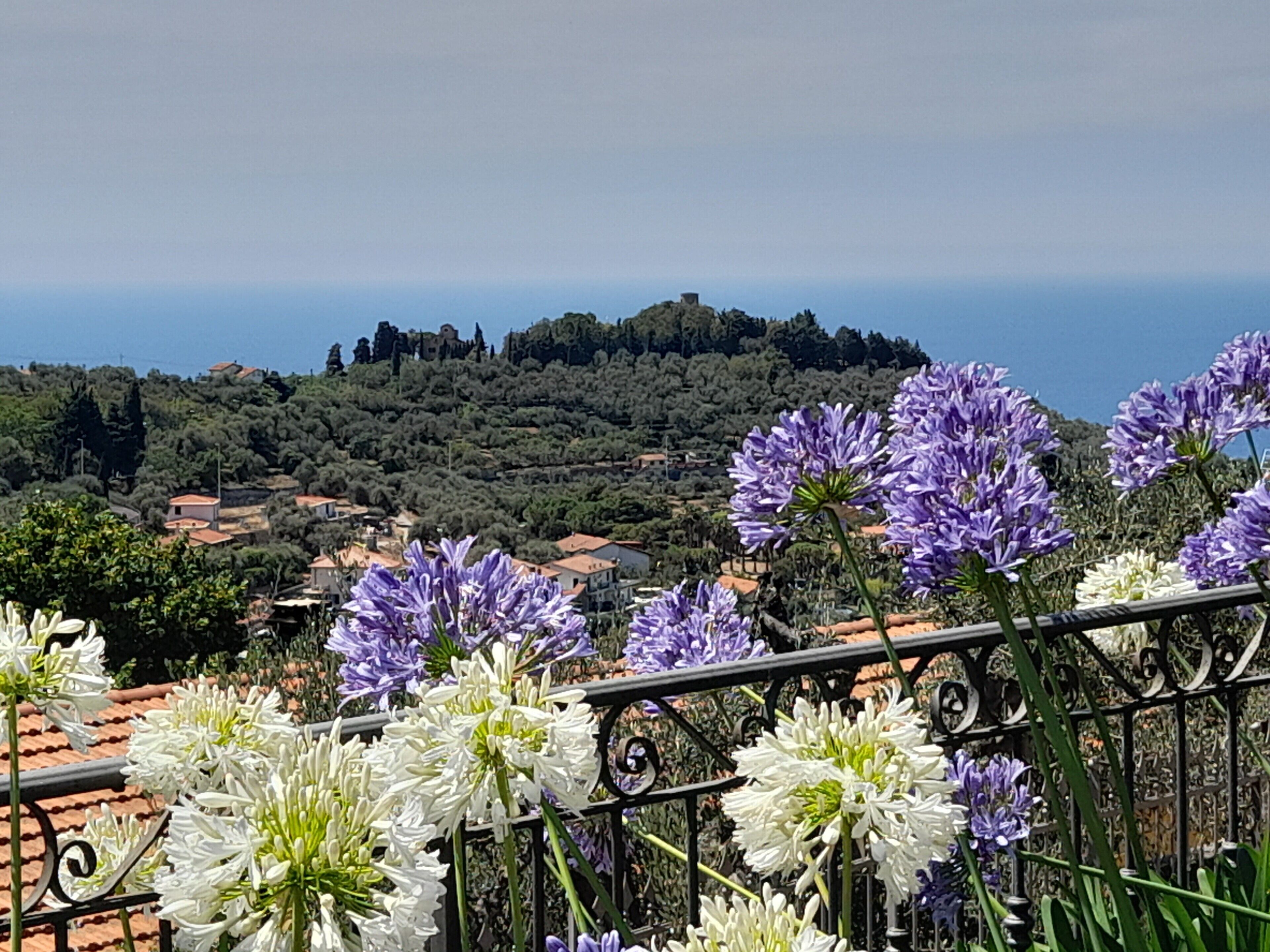 Un balcon orné de fleurs blanches et violettes, une vue sur une colline parsemée de maisons et un ciel dégagé.