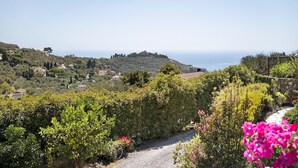 A rural landscape with a gravel path, dense greenery, and distant hills. - Holiday Apartment "Villa Isabella Casa Lucia" with Sea View, Shared Terrace & Wi-Fi (Imperia)