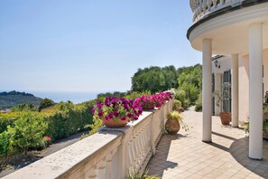 Ein Balkon mit Blick auf das Meer, einem Blumentopf und einem Gebäude mit Säulen.