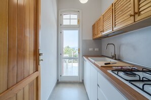 Fridge, microwave, stovetop, electric kettle