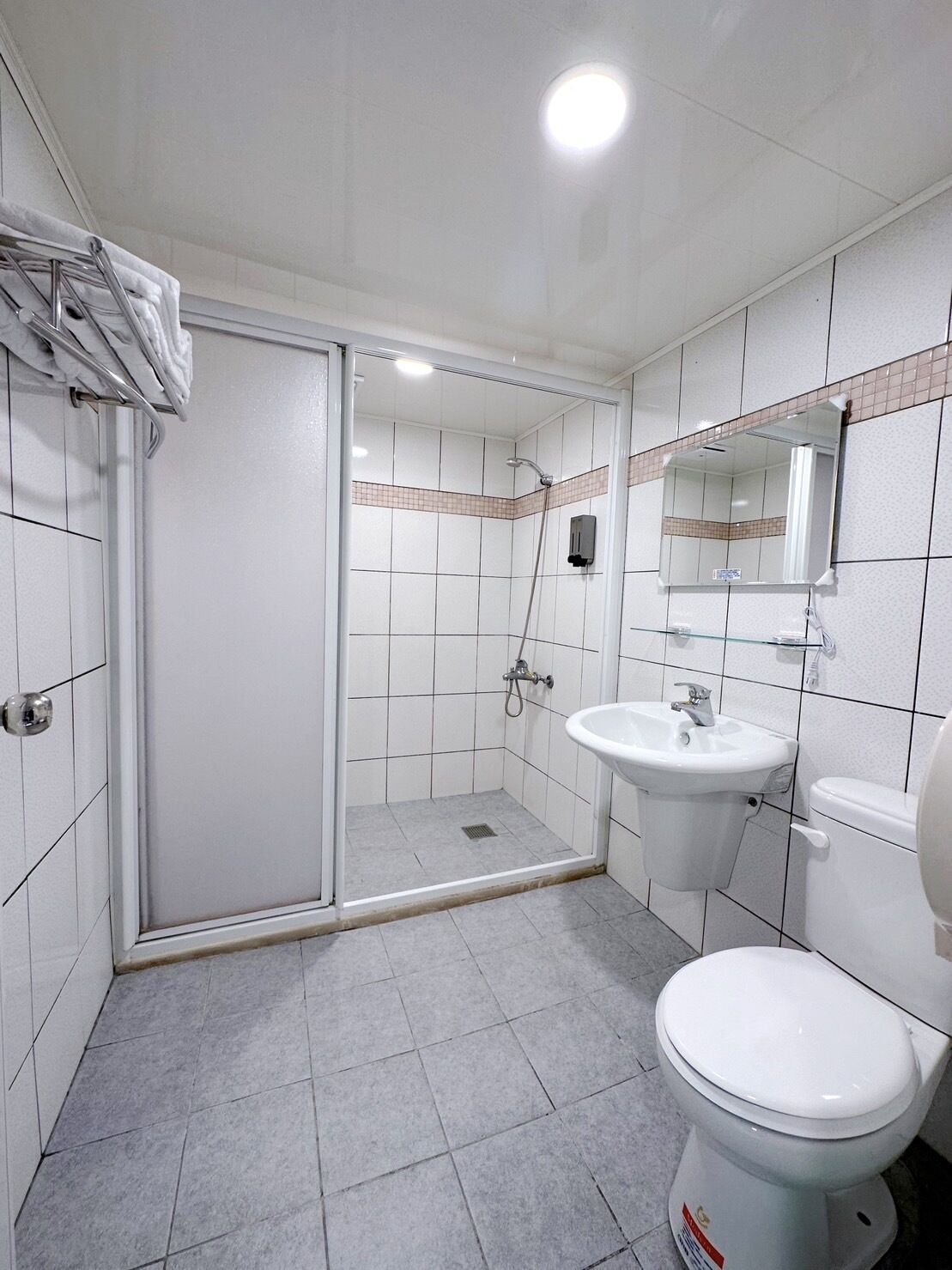 A bathroom with a shower, sink, toilet, and a glass-enclosed shower area.