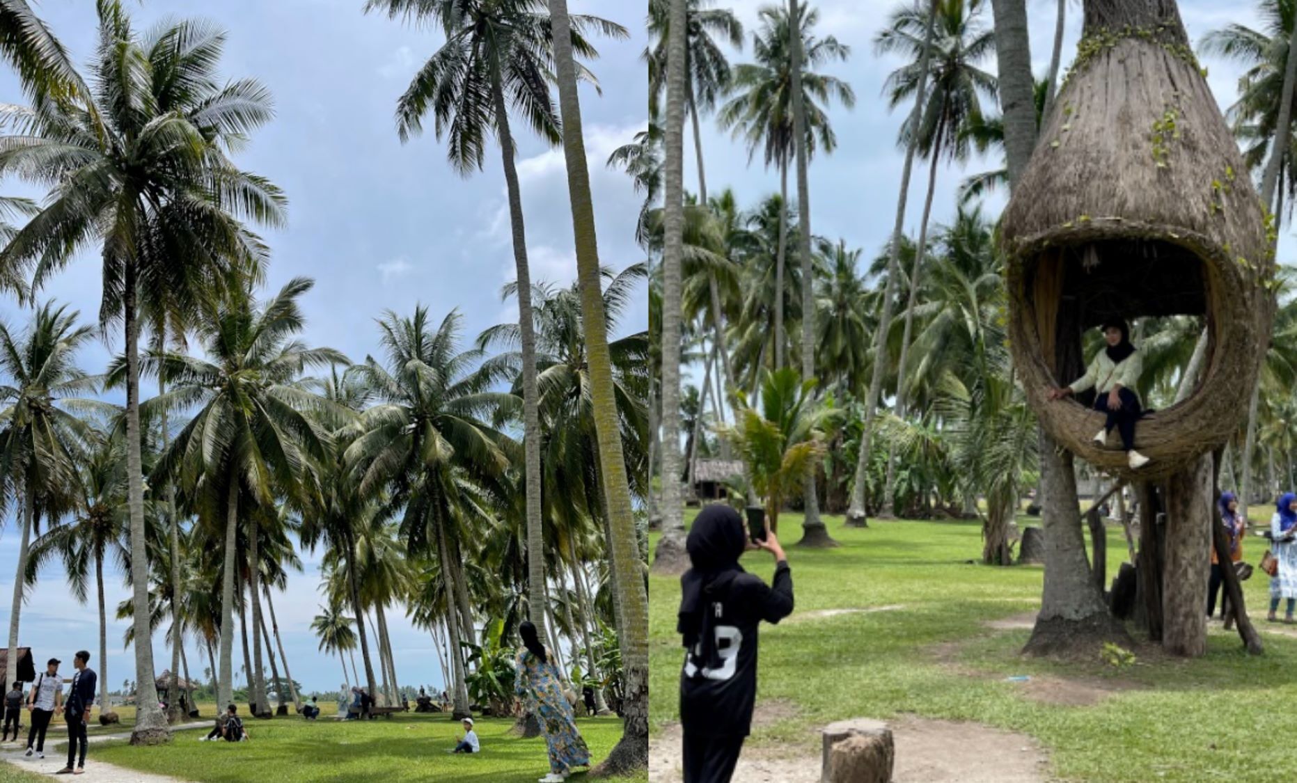 Un parque tropical con palmeras, una estructura de techo de paja y personas caminando y sentadas sobre el césped.