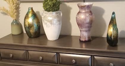 Beautiful clean and cozy home in Sunshine State Florida