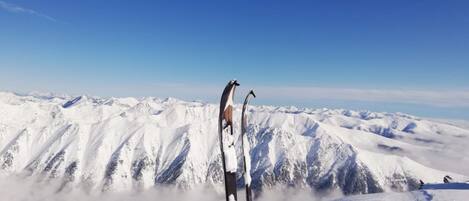Sneeuw- en skisporten
