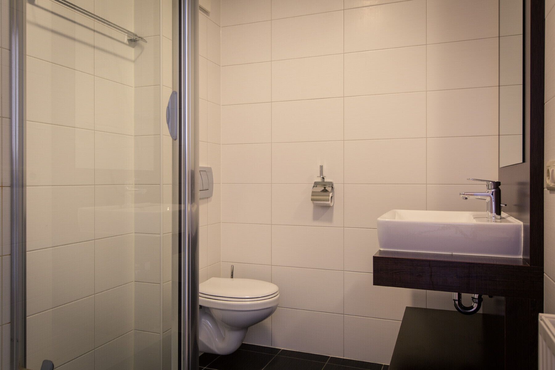 A modern bathroom with a glass shower enclosure, a white toilet, and a dark-toned sink with a mirror above it.