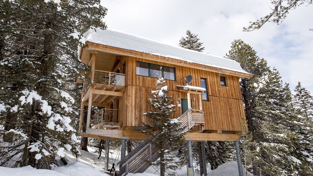 Een houten chalet met een balkon en een trap, omgeven door met sneeuw bedekte bomen.