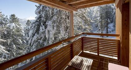 Chalet # 28 with sauna and indoor whirlpool