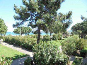 Property grounds - 3-room seaside apartment in Argelès-sur-Mer (Argelès-sur-Mer)