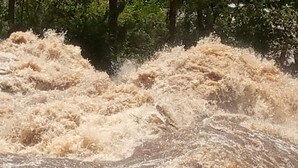 A turbulent river with white foam and debris.
