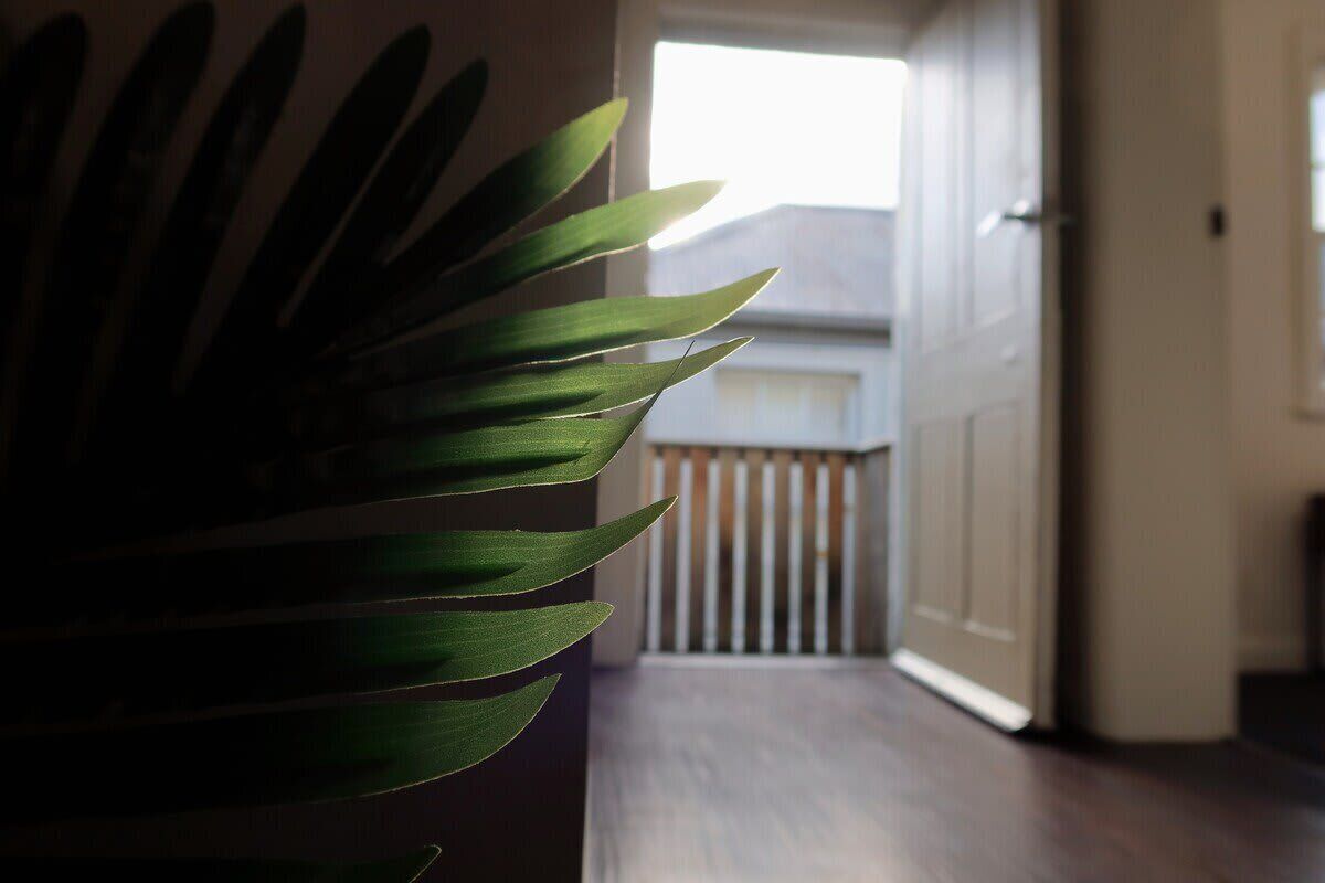Au premier plan, une plante aux longues feuilles vertes, un plancher en bois et, au fond, une porte blanche.
