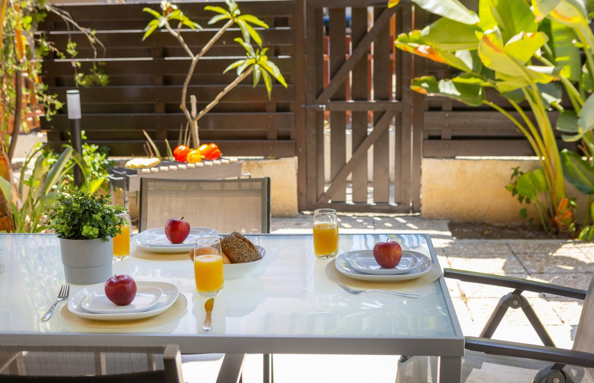 Mesa al aire libre con platos de comida, un vaso de jugo de naranja y una planta en maceta.