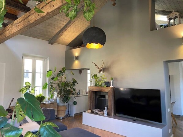Smart-TV, Bücher